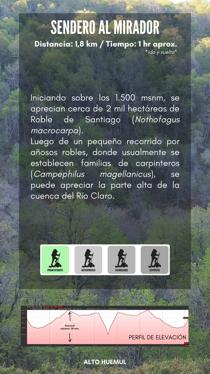 Sendero al mirador