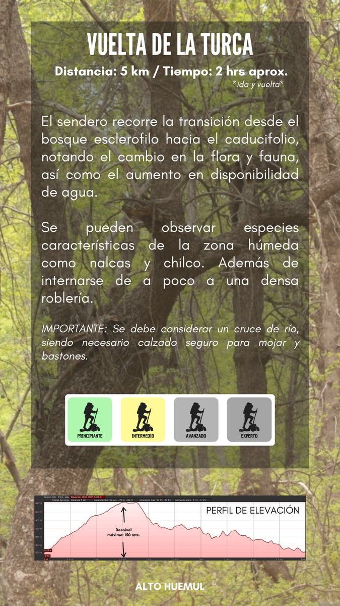 Vuelta de la turca