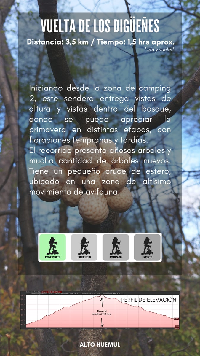 Vuelta de los digüeñes